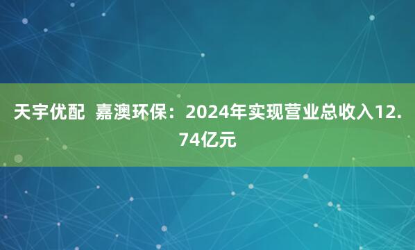 天宇优配  嘉澳环保：2024年实现营业总收入12.74亿元