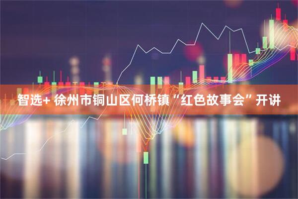 智选+ 徐州市铜山区何桥镇“红色故事会”开讲